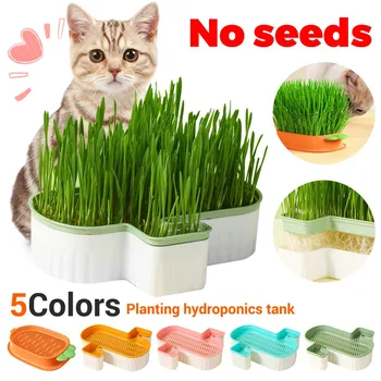 Новый лоток для выращивания домашней кошачьей травы, блюдо для закваски, тепличное гидропонное растение, горшок для проращивания кошачьей травы, ящик для выращивания
